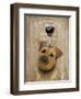 Dog Au Vin Border Terrier-Fab Funky-Framed Art Print