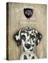 Dog Au Vin Dalmatian-Fab Funky-Stretched Canvas