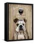 Dog Au Vin English Bulldog-Fab Funky-Framed Stretched Canvas