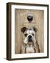 Dog Au Vin English Bulldog-Fab Funky-Framed Art Print