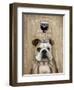 Dog Au Vin English Bulldog-Fab Funky-Framed Art Print