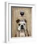 Dog Au Vin English Bulldog-Fab Funky-Framed Art Print