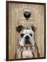 Dog Au Vin English Bulldog-Fab Funky-Framed Art Print