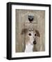 Dog Au Vin Greyhound-Fab Funky-Framed Art Print