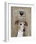 Dog Au Vin Greyhound-Fab Funky-Framed Art Print