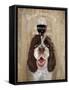 Dog Au Vin Springer Spaniel-Fab Funky-Framed Stretched Canvas