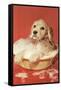 Dog Bathing in Plastic Basin-null-Framed Stretched Canvas