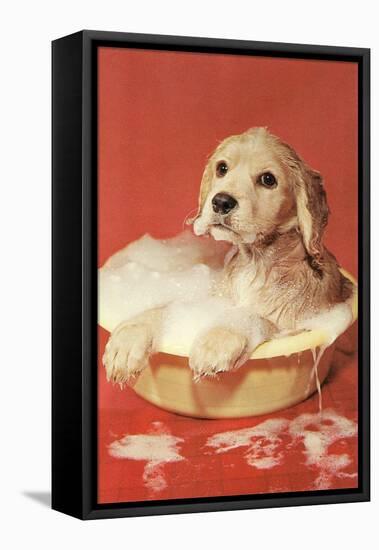 Dog Bathing in Plastic Basin-null-Framed Stretched Canvas