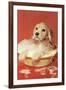 Dog Bathing in Plastic Basin-null-Framed Art Print