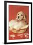 Dog Bathing in Plastic Basin-null-Framed Art Print