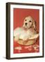 Dog Bathing in Plastic Basin-null-Framed Art Print