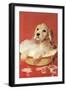 Dog Bathing in Plastic Basin-null-Framed Art Print