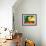 Dog Bed Yellow-Stephen Huneck-Framed Giclee Print displayed on a wall