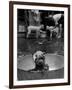 Dog Being Bathed in Back Yard-Robert W^ Kelley-Framed Photographic Print