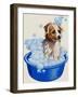 Dog Being Washed-English School-Framed Giclee Print