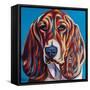 Dog Besties II-Carolee Vitaletti-Framed Stretched Canvas