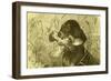 Dog Bird Hunt 1891, Austria-null-Framed Giclee Print