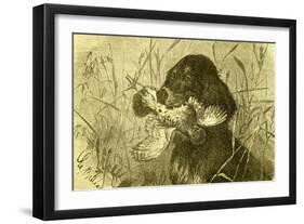 Dog Bird Hunt 1891, Austria-null-Framed Giclee Print