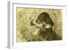 Dog Bird Hunt 1891, Austria-null-Framed Giclee Print