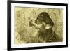 Dog Bird Hunt 1891, Austria-null-Framed Giclee Print