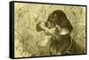 Dog Bird Hunt 1891, Austria-null-Framed Stretched Canvas