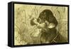 Dog Bird Hunt 1891, Austria-null-Framed Stretched Canvas