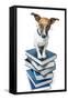 Dog Book Stack-Javier Brosch-Framed Stretched Canvas