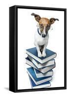 Dog Book Stack-Javier Brosch-Framed Stretched Canvas