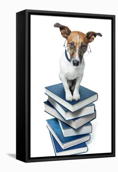 Dog Book Stack-Javier Brosch-Framed Stretched Canvas