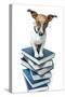 Dog Book Stack-Javier Brosch-Stretched Canvas