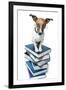 Dog Book Stack-Javier Brosch-Framed Photographic Print