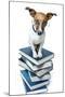 Dog Book Stack-Javier Brosch-Mounted Photographic Print