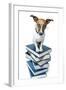 Dog Book Stack-Javier Brosch-Framed Photographic Print