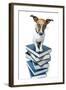 Dog Book Stack-Javier Brosch-Framed Photographic Print