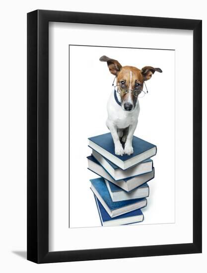 Dog Book Stack-Javier Brosch-Framed Photographic Print