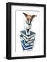 Dog Book Stack-Javier Brosch-Framed Photographic Print