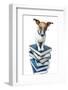 Dog Book Stack-Javier Brosch-Framed Photographic Print