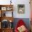 Dog, Border Collie, Lemgo, Germany-Thorsten Milse-Stretched Canvas displayed on a wall