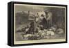 Dog Boy and Clumber Spaniels-George Bouverie Goddard-Framed Stretched Canvas