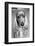 Dog Breeds - Cocker Spaniel - Puppies - English Cocker-Philippe Hugonnard-Framed Photographic Print