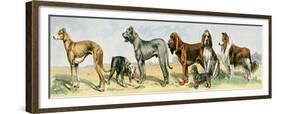 Dog Breeds: Greyhound, Bulldog, Great Dane, Bloodhound, Dandie Dinmont, Griffon, and Collie-null-Framed Giclee Print