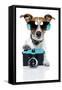 Dog Camera-Javier Brosch-Framed Stretched Canvas