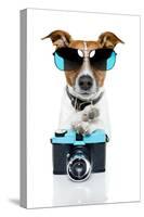 Dog Camera-Javier Brosch-Stretched Canvas