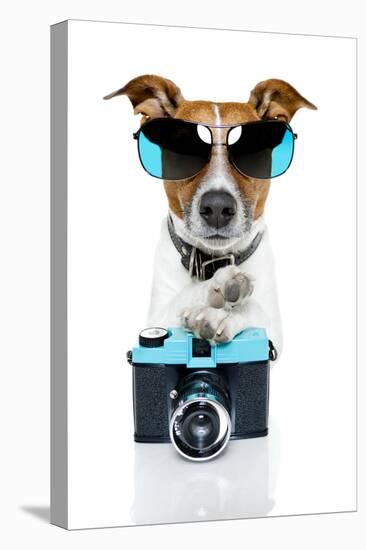 Dog Camera-Javier Brosch-Stretched Canvas