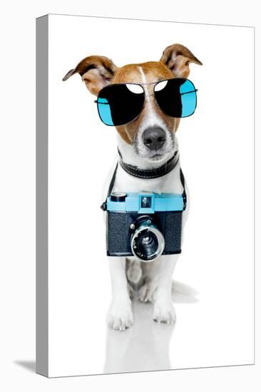 Dog Camera-Javier Brosch-Stretched Canvas