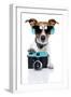 Dog Camera-Javier Brosch-Framed Photographic Print