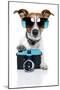 Dog Camera-Javier Brosch-Mounted Photographic Print