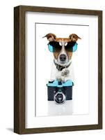 Dog Camera-Javier Brosch-Framed Photographic Print