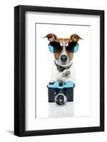 Dog Camera-Javier Brosch-Framed Photographic Print