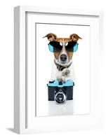Dog Camera-Javier Brosch-Framed Photographic Print